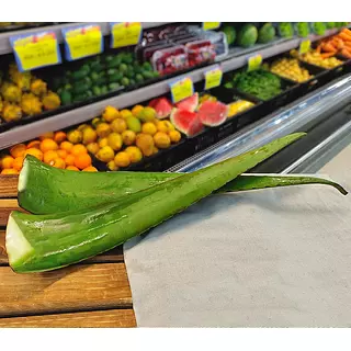 Freskos Penca De Sabila Und