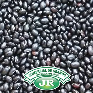 Frijol Caraota Jr 500g