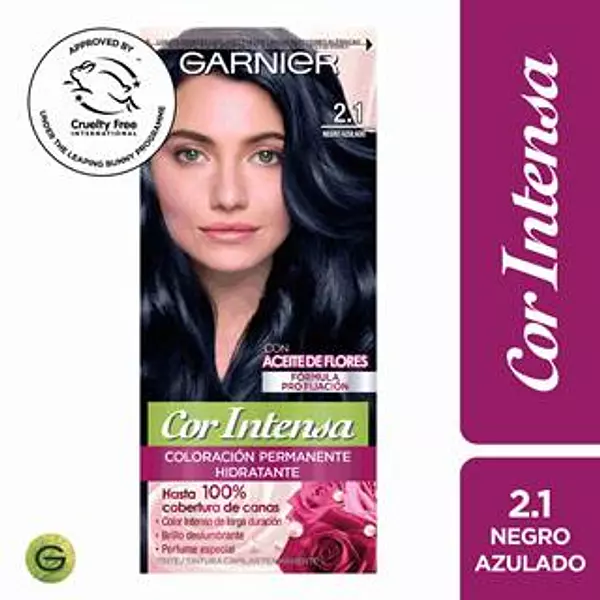 Tinte Garnier Negro Azulado 2.1