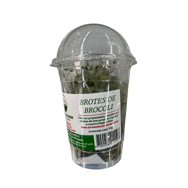 Brotes De Santander 30g