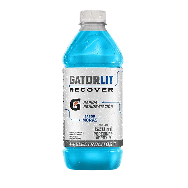 Gatorlit Moras Uva 620ml