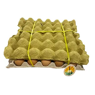 Huevo El Tesoro Amarrado A*30und