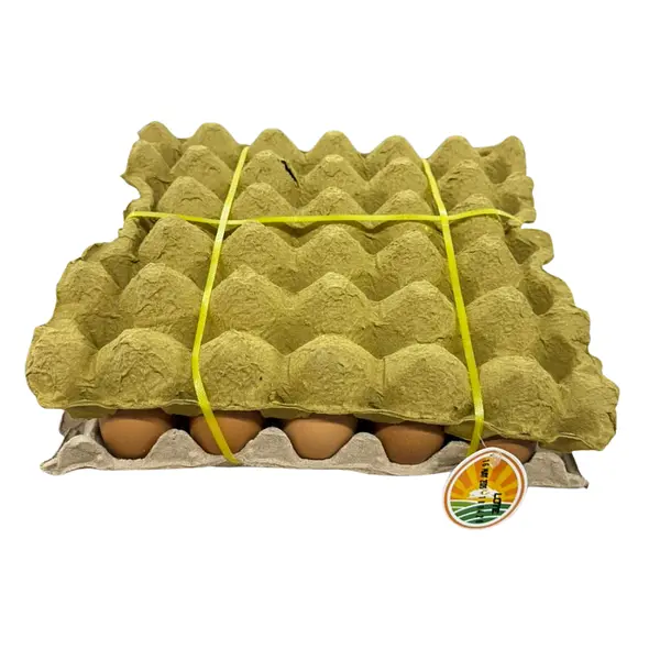Huevo El Tesoro Amarrado A*30und